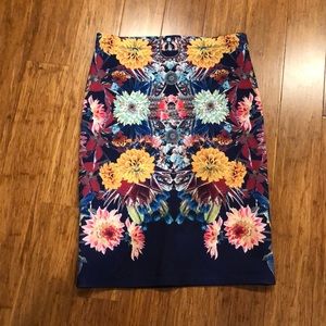 Clover Canyon Pencil Skirt